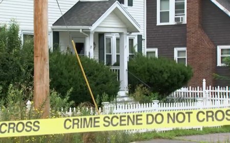 Cape Verdean accused of murder in Brockton tried to flee to Cape Verde