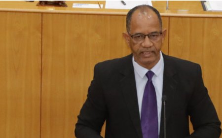 Parliament: UCID considers that "the Nation is not doing well despite economic growth"