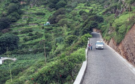 Section of the road in cobblestone continues to generate outrage among drivers, residents and users of the parish of Nossa Senhora do Monte
