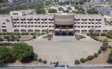 Government approves Career, Functions and Remuneration Plan for teaching staff