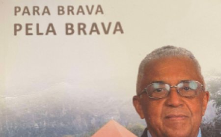 I believe that the vision of Brava's development must be projected from the outside in - Orlando Balla