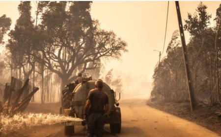 Autarca de Sever do Vouga fala no "pior incêndio de sempre". Por todo o país, há cinco mil bombeiros empenhados no combate às dezenas de fogos EM DIRETO Última atualização em 16 setembro 2024 às 08h15 Autarca de Sever do Vouga fala no "pior incêndio de sempre". Por todo o país, há cinco mil bombeiros empenhados no combate às dezenas de fogos