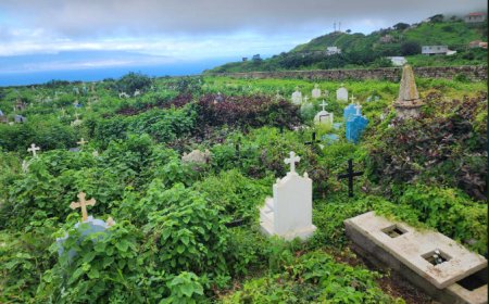 São João Baptista Cemetery calls for cleaning and more attention