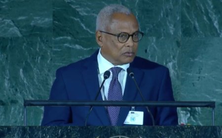 Cabo Verde vê lacunas de financiamento como motivo para atrasos de metas ambientais
