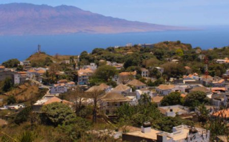 Ponto focal do programa da luta anti-vectorial apela ao contributo dos bravenses no combate à dengue