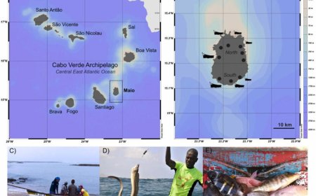Pesca Artesanal em Cabo Verde: Declínio Ameaça Recursos Marinhos