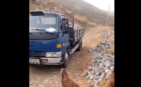 Pau population outraged by the attitudes of Francisco Tavares, candidate defeated in the last local elections