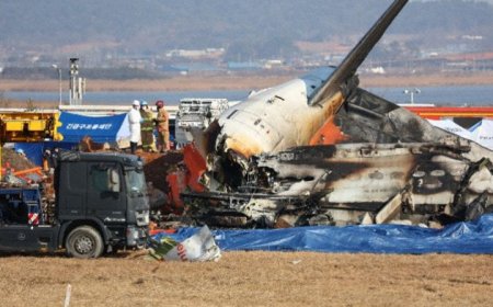 Acidente: Jeju B738 em Muan em 29 de dezembro de 2024, pouso com trem de pouso recolhido e ultrapassagem da pista