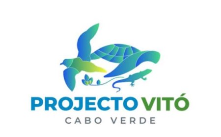 Ilhas do Fogo e Brava acolhem primeiro encontro nacional de organizações de conservação de plantas