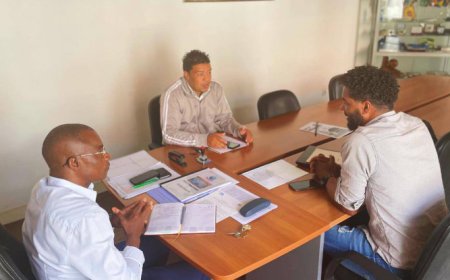 Assess the progress of interventions, identify constraints and establish solutions to ensure the smooth running and continuity of the works