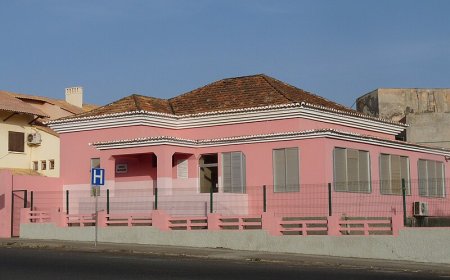 Cape Verde moves forward with kidney transplants with Portuguese support