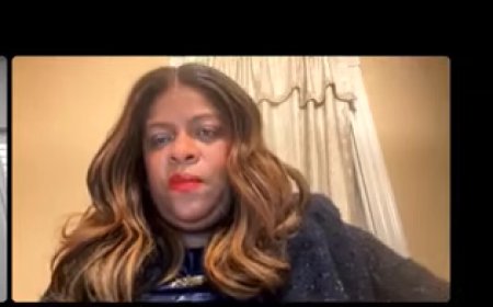 Advogada americana fala sobre situação de imigrantes ilegal na merca e que  precauçoes tomar