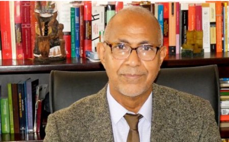 Eurico Monteiro appointed minister in government reshuffle leaves Cape Verde embassy in Portugal