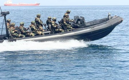 Cape Verde Seizes 1.6 Tons of Cocaine in International Interpol Operation