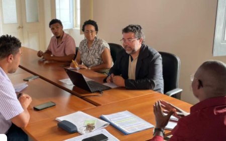 Meeting with the Head of UNIDO: Partnerships for Regional Development