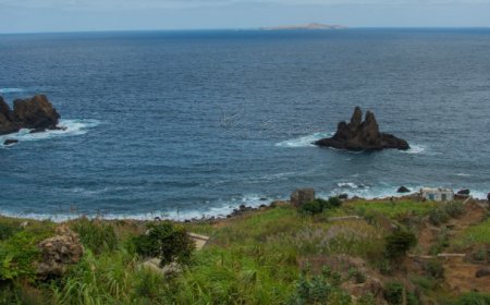 A força inexplorada da diáspora Bravense, um motor para o desenvolvimento da Ilha Brava