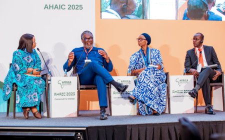 Cape Verde Stands Out as an Example in Health Financing in Africa, but Challenges Remain