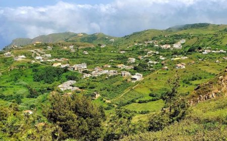 One island, multiple voices, one cause and many groups. The disunity behind the many "Bravenses Unidos" and "Brava Unidos"