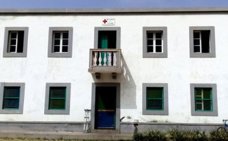 Brava: Red Cross has been intervening wherever there is a need - responsible