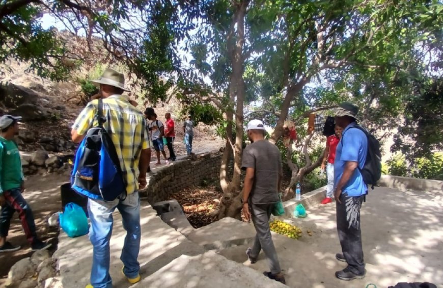 Intercâmbio agricultores na Ilha Brava: uma experiência de partilha e aprendizagem no terreno