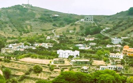 O complexo industrial do coitadismo e a erosão do tecido social da Ilha Brava