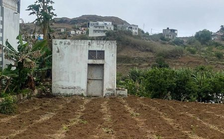 Brava: Farmers say they are worried about the shortage of labor in agriculture