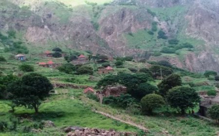 Brava: Reflorestação e lançamento de pastagens em curso para reforçar resiliência ambiental