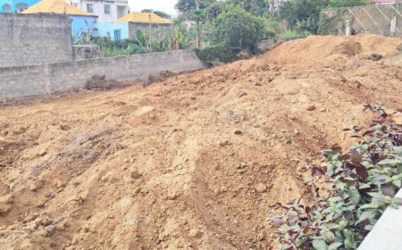 Início das Obras da Nova Igreja do Nazareno em Tomé Barraz.