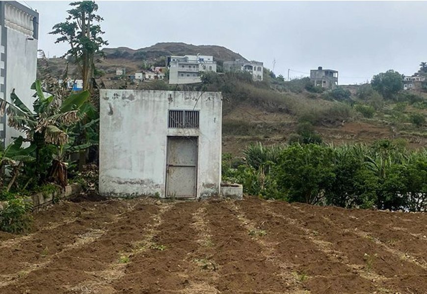 Brava: Lavradores dizem-se preocupados com escassez de mão de obra na agricultura