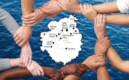 Divided by the same cause - The fragmentation of Brava support groups in the United States