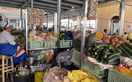 Estudo revela que 88,8% das mulheres em Cabo Verde realizam trabalho não remunerado