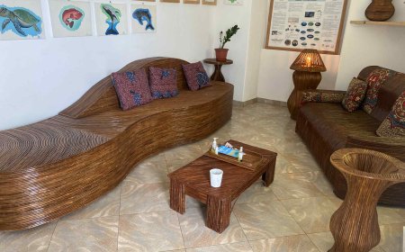 Associação Biflores aproveita planta invasora para transformar em arte e mobiliários