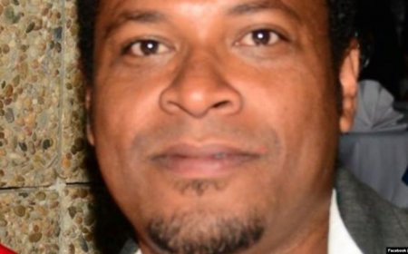 Os profissionais do crime. A carapuça a quem lhe couber