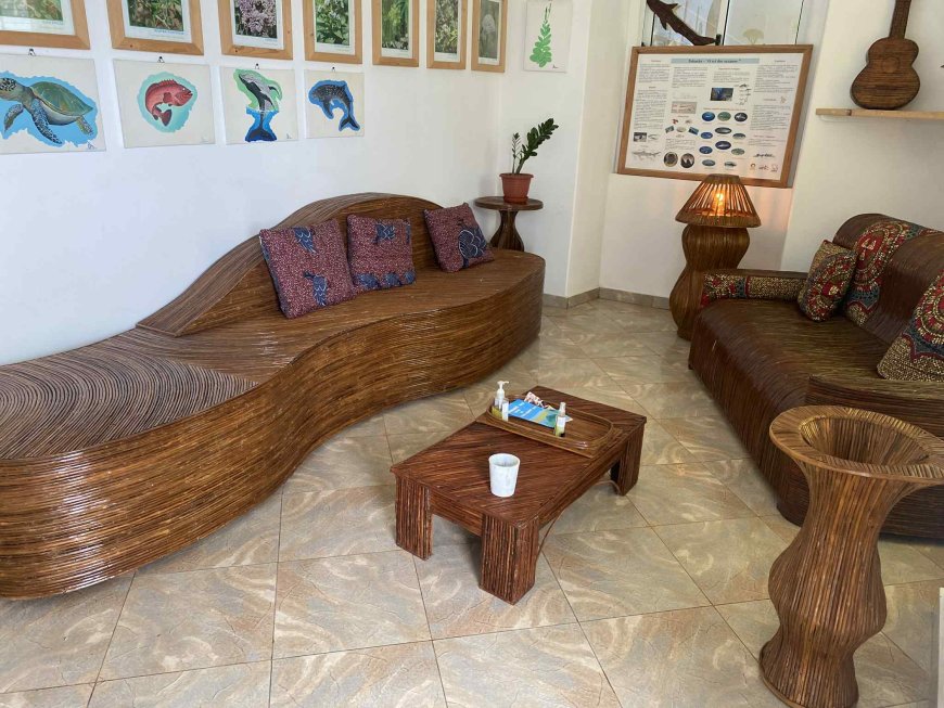 Biflores Association uses invasive plants to make art and furniture