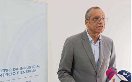 “Não nos comprometemos a datas” para a resolução dos problemas de energia - Ministro da Energia