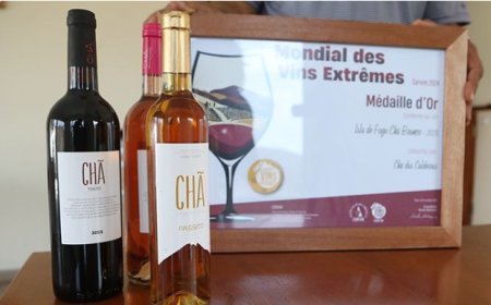 Fogo: Vinho Tinto da adega Chã distinguido com medalha de ouro na XXXIII edição mundial de vinhos extremos