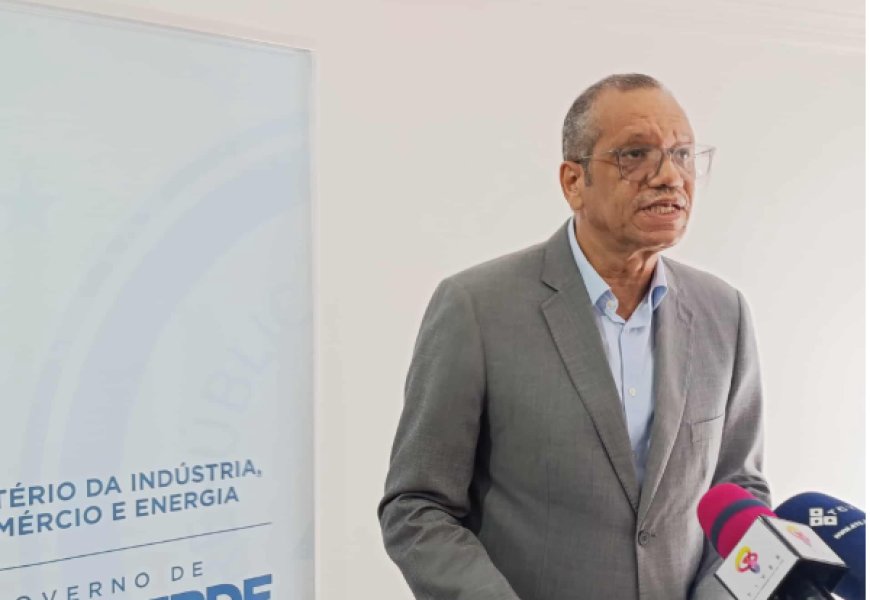 “Não nos comprometemos a datas” para a resolução dos problemas de energia - Ministro da Energia