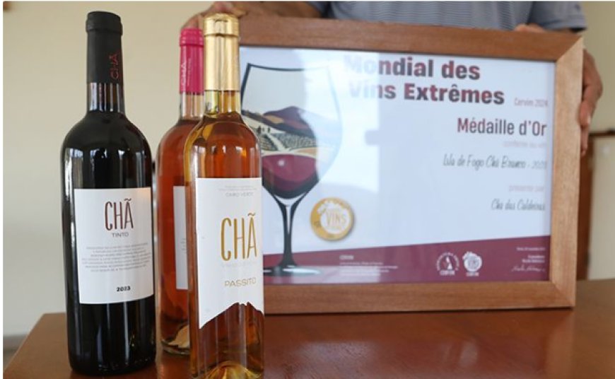 Fogo: Chã winery's red wine awarded gold medal at the XXXIII World Extreme Wine Awards