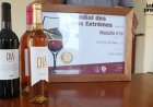 Fogo: Vinho Chã Branco 2024 wins Grand Gold Medal at the Extreme Wines World Championship