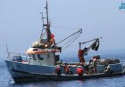 Reduce project coordinator warns of need to monitor impacts of industrial fishing