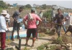 Brava: Volunteers carry out a cleaning campaign at the Municipal Cemetery of Nova Sintra