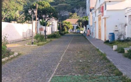 Ex-Autarca da Brava sob fogo amigo, militante do MpD acusa Francisco Tavares de "Manipulação" e "Arrogância"