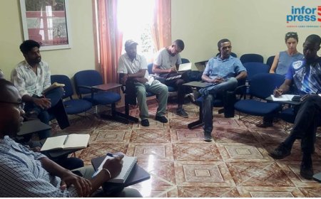 Brava: Farmers concerned about monkey invasions of agricultural plots