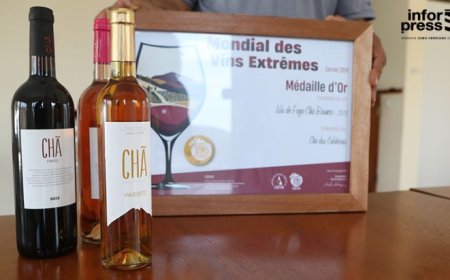 Fogo: Vinho Chã Branco 2024 conquista Grande Medalha de Ouro no Mundial de Vinhos Extremos