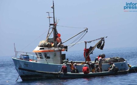 Coordenador do projecto Reduce alerta para a necessidade de monitorar impactos da pesca industrial