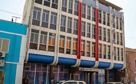 Armindo Sousa elected new chairman of TACV's board of directors