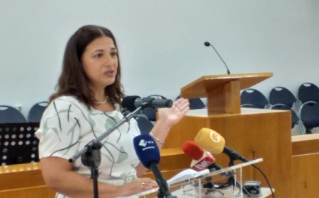 The government allocates 123 thousand contos for social support to more than a thousand families in São Vicente.