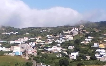 Ilha Brava: Corn shortage causes damage and concern for livestock farmers