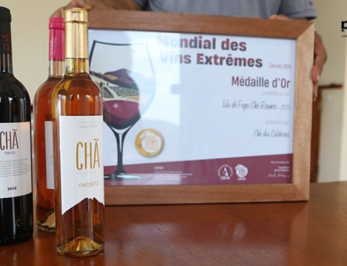 Fogo: Vinho Chã Branco 2024 conquista Grande Medalha de Ouro no Mundial de Vinhos Extremos