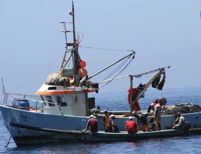 Coordenador do projecto Reduce alerta para a necessidade de monitorar impactos da pesca industrial